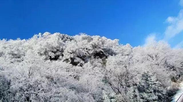 老爹寿司店中文版