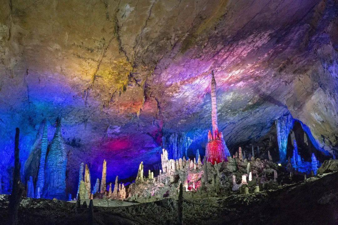 拯救枯树