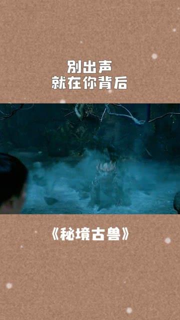孤独的流浪者救援