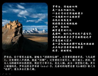 逃离宝藏岛屿
