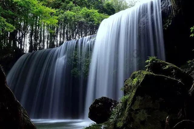 梦想牧场