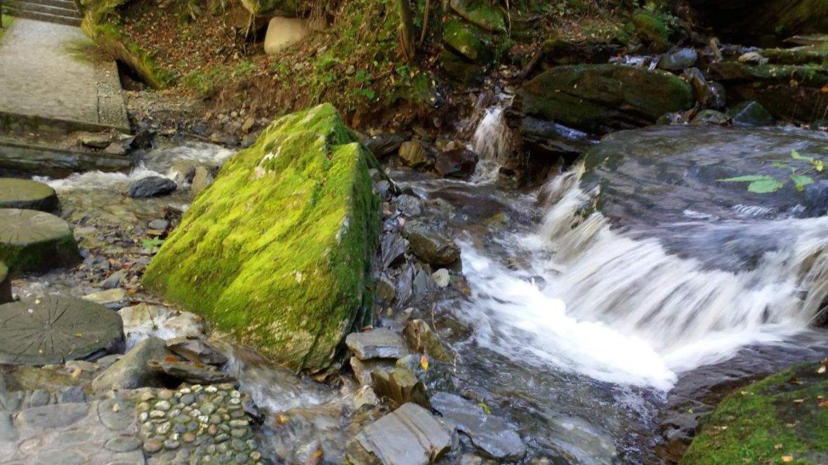 浏阳葛家镇：“消”火患 “防”风险 守好年节“安全关”