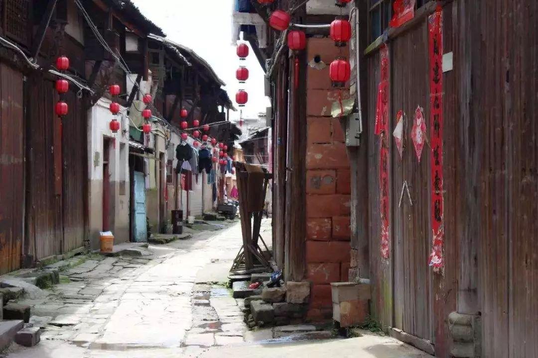 逃出白海豹洞